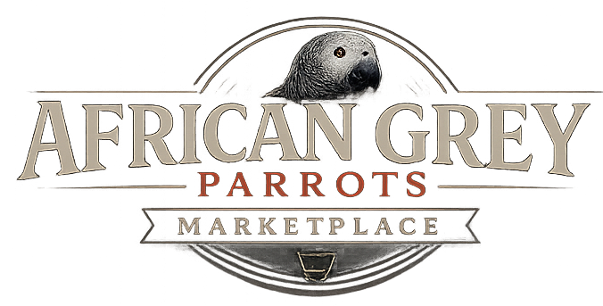 AFRICAN GREY PARROTS